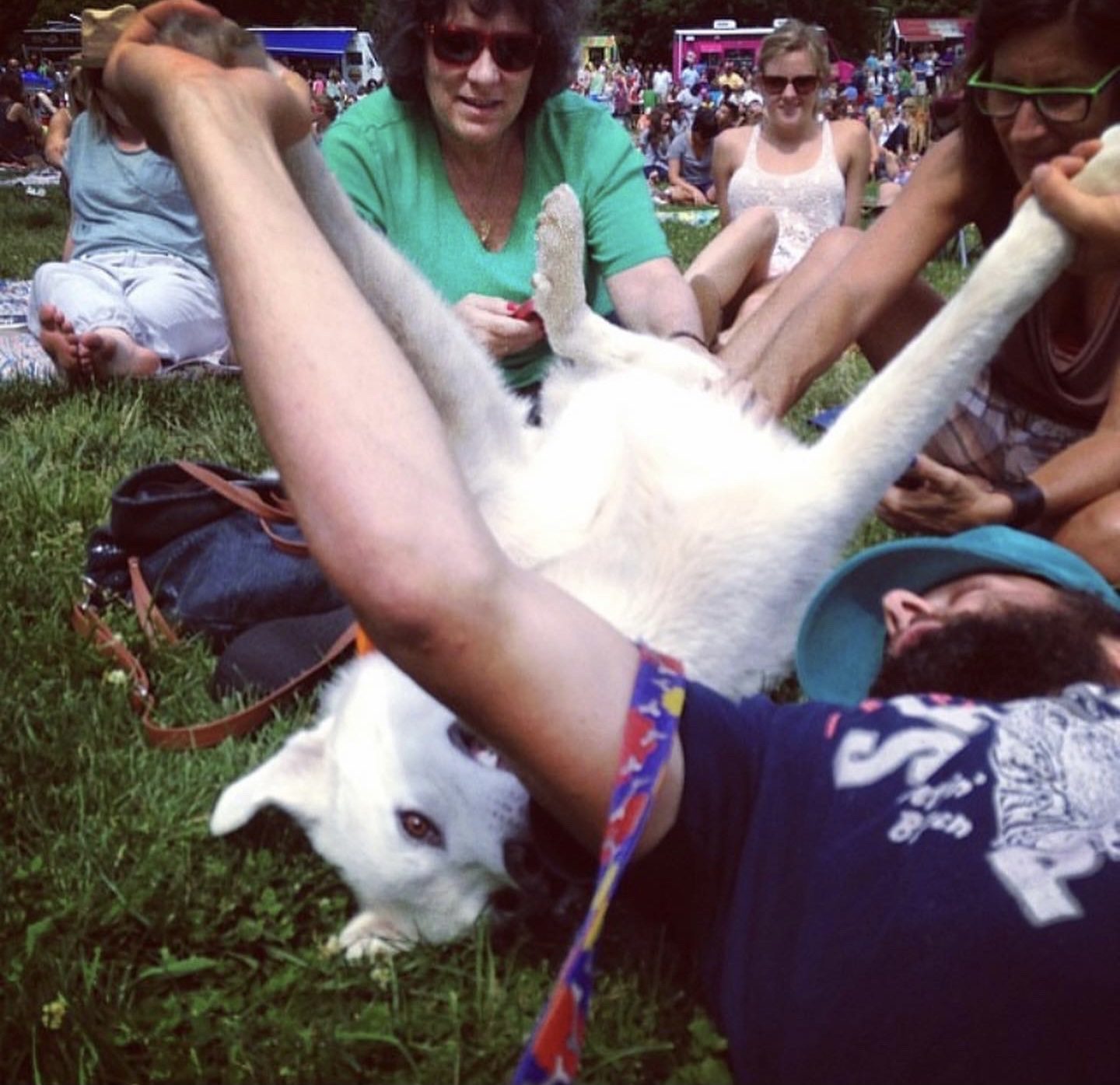 A man frolics with a white dog