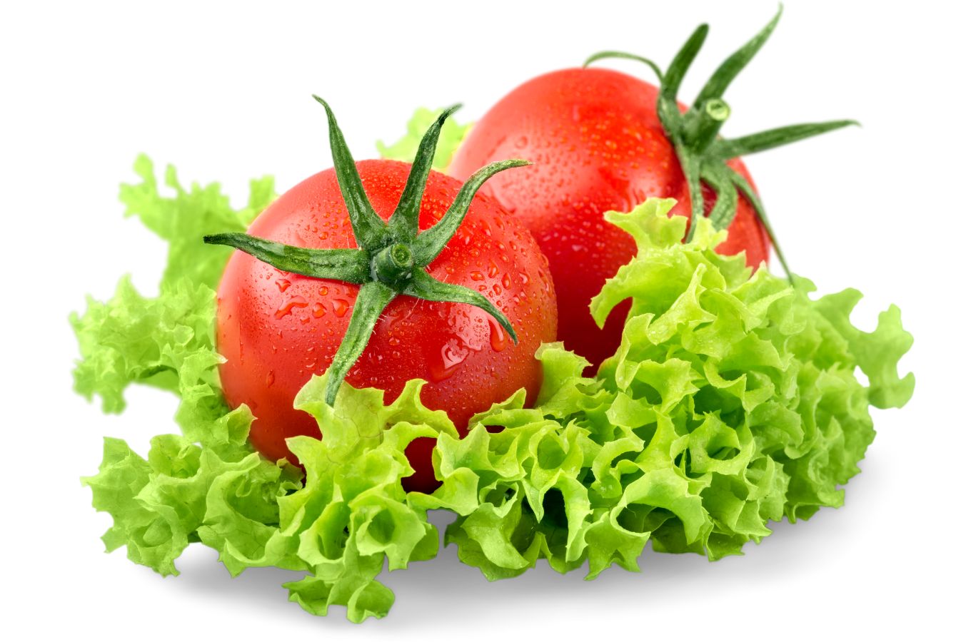 Two tomatoes sitting on a bed of lettuce