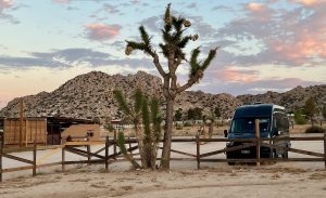 A Joshua tree against a sunset desert landscape, with a parked black van and a brown low building