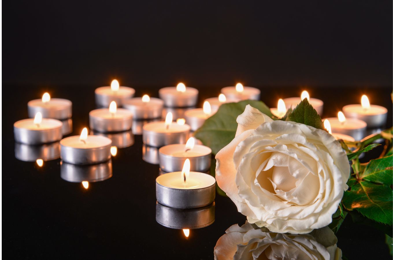 White flowers and candles